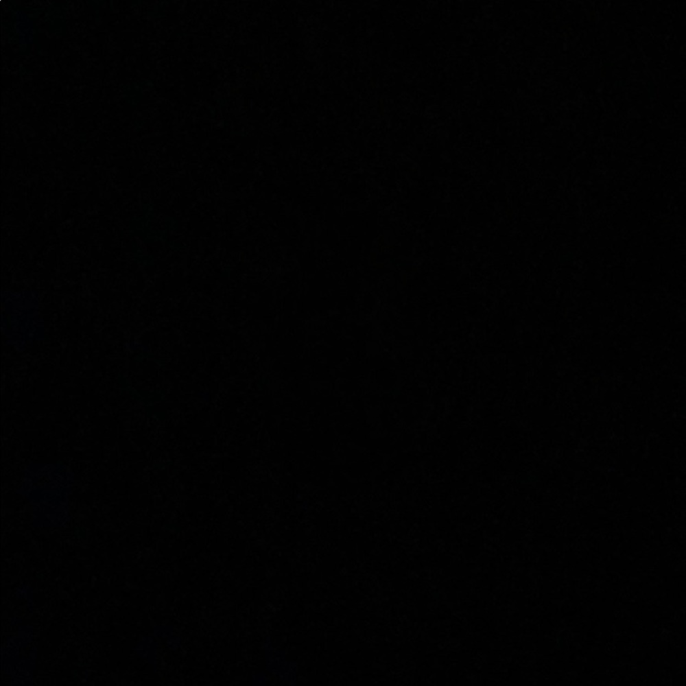 Meet your Posher, Wylie